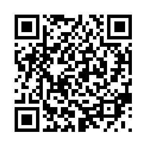我们整个团队都明白这件事情的重要性二维码生成