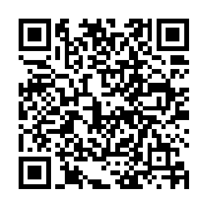 我们早就确定了要请柳下挥先生来帮你写这第一本传记二维码生成