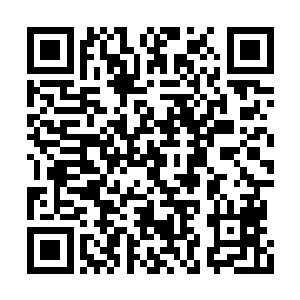 我们是堂兄弟……体内流着血液都是聂家的……二维码生成