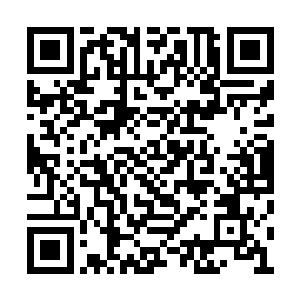 我们是绝对不会允许这个少年活着回去寒月天阁二维码生成