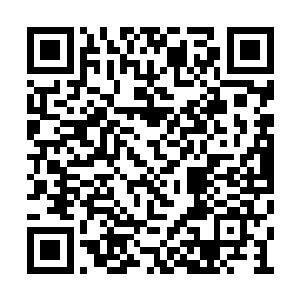 我们更想亲眼看看长在下面的长生花是什么样的二维码生成
