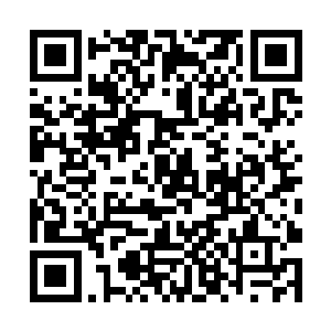 我们最先开始难道不是你先说我们不要有感情纠葛吗二维码生成