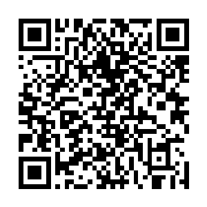 我们有一个时辰实战训练刚刚新得到的习者技能和童生文符二维码生成