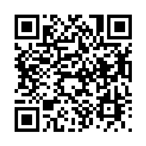 我们每个人单打独斗都不是它的对手二维码生成