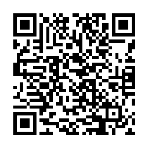 我们没有在任何官方记录上找到关于你们这次行动的记录二维码生成