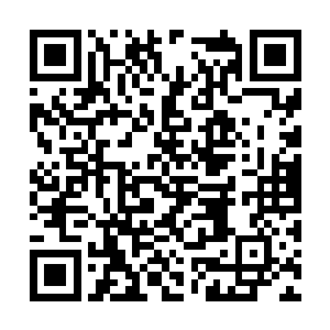 我们灵武大陆的修士和妖族之间的仇恨不可能化解二维码生成