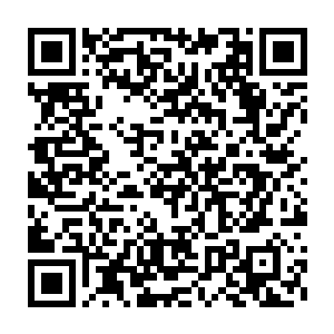 我们现在就需要一个能够镇得住场面的大人物来担任龙盟的执法长老二维码生成