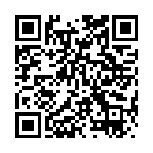 我们现在正处于一片热带雨林之中二维码生成