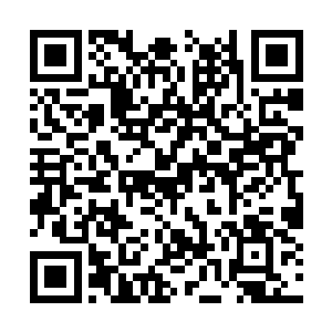 我们现在的确是不应该过多地关注红河公司怎么样二维码生成