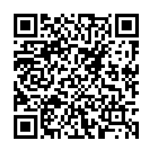 我们白巫师联盟的各个出口的收费标准都是一样的二维码生成