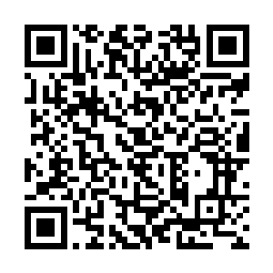 我们百族的实力绝对不是像现在表现出来的这一点点二维码生成