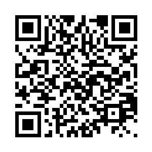 我们的一举一动都在御兽门的监视之下二维码生成