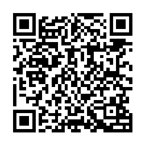 我们的合同里面的有关于利益的部分可以重新制定一下了二维码生成