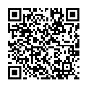 我们的欢喜哥可是不太习惯在这样的场合做什么报告的二维码生成