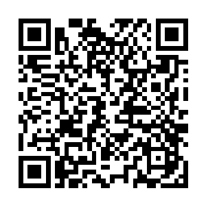 我们的那一批好肉现在肯定再张小花江南居的冷库当中二维码生成