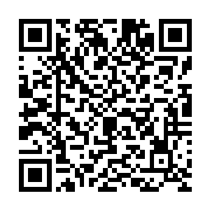 我们真应该让记者來看看我们伟大的县长是怎样为人民服务的二维码生成