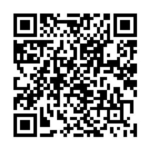 我们真正的目标可是那两个女人呵――她们的存在太耀眼二维码生成