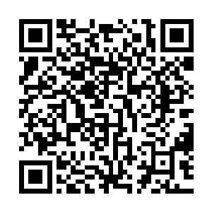 我们真的很不想回忆……回忆父母兄长被杀的场景……嘤嘤嘤二维码生成