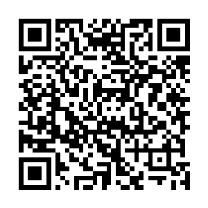 我们终于在一颗几人围抱都抱不过来的大树前面停了下来二维码生成