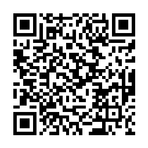 我们绿草门的所有财富都是我们所有人一起赚回来的二维码生成