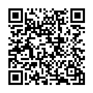 我们绿草门的每一片茶叶都是我们弟子辛苦采摘的二维码生成