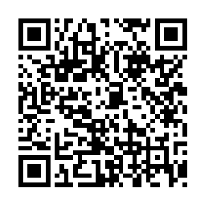 我们老大已经给你在大人面前求情拖了一个多月二维码生成