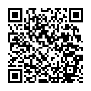 我们职业化这么多年培养出来的球员却距离世界水平越来越远二维码生成