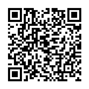 我们芝安市许多在外地做生意的富商都纷纷坐飞机赶了回来二维码生成