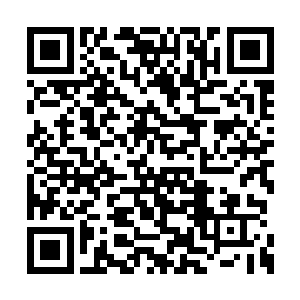 我们花田一定会为你们提供更加优质贴心的服务二维码生成