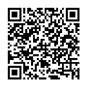 我们要有绝不服输的精神巴拉巴拉……大家不要怕二维码生成