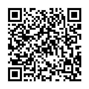 我们要等的就是周亮从这个大吼大叫之后的下一个阶段二维码生成