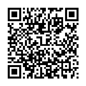 我们许家也绝对不会做一丝一毫针对你们家族的事情二维码生成