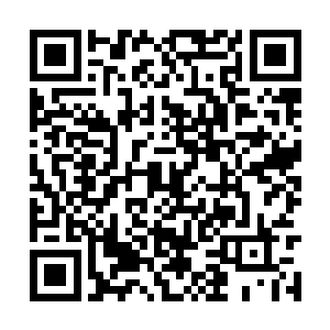 我们许家如今的名声几乎都是王者一个人争夺而来二维码生成