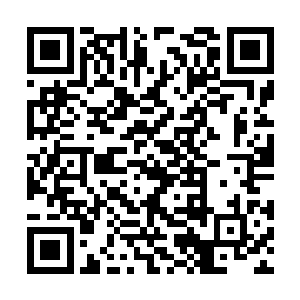 我们还等着看六大门派围攻光明顶小张大发神威呢二维码生成