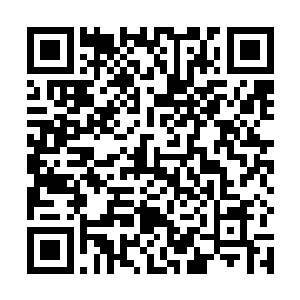 我们这一次到益杨是岭西日报安排的系列调查活动之一二维码生成