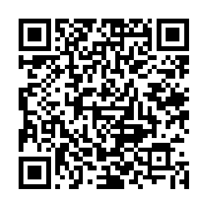 我们这么多人去香港考察难道都是一帮傻子被别人骗了不成二维码生成