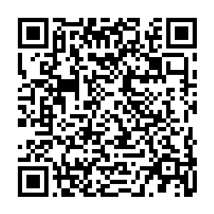 我们这些年轻小辈虽然在经验上不足与徐将军还有梁将军这些沙场老将相比二维码生成