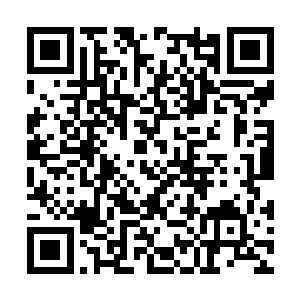 我们这些弟子被安排在了核心内门的中央道门区域二维码生成