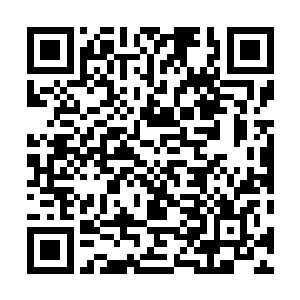 我们这些游散怕是没那么自由了……而对付这群人仙老怪二维码生成