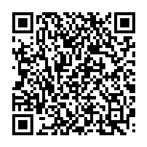 我们这群炼药的家伙如果要是单独一个个的那都是被那些大势力奴役的命二维码生成