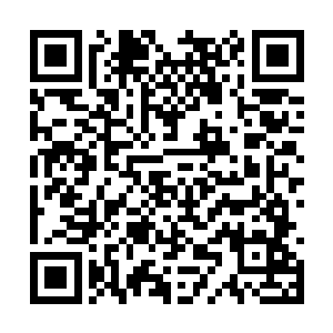 我们驶到了一处建在某个农庄附近的二层小别墅前二维码生成