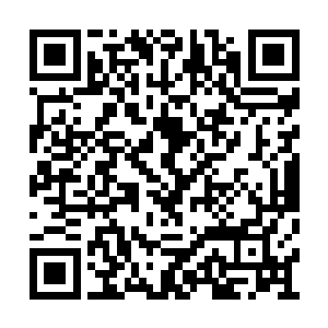 我仿佛一下子回到了春秋秦时明月的那古风时代二维码生成