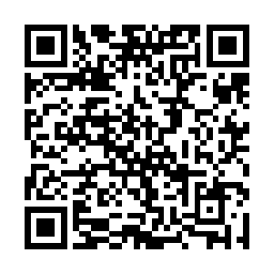 我仿佛看到了新一代的星河主宰如同旭日般冉冉升起二维码生成