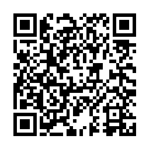 我会如实的把我所看到的情况写出一份汇报向上面提交二维码生成