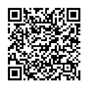 我会将小宝的档案转入龙图集团高级员工子女档案系统二维码生成