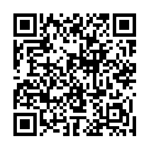 我会毫不犹豫的把自己手里那一票投到他面前的选票箱里二维码生成