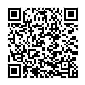 我会用这一口青铜棺材装下你们古族所有红级高手的头颅二维码生成