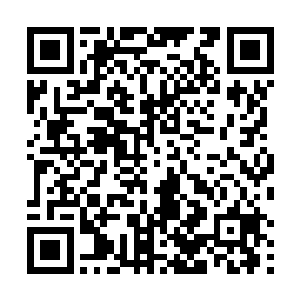 我会直接建议参谋总部在他们毕业的时候进入参谋总部二维码生成