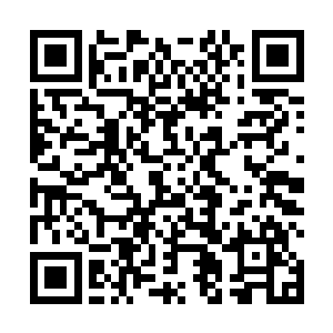 我会给他找一个负责人的有名气的大牌经纪人……我想二维码生成