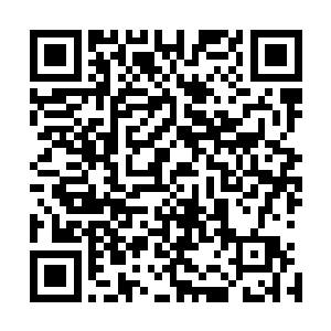 我会蠢到被你故意营造出来这些花里胡哨的声光电效果吓住二维码生成